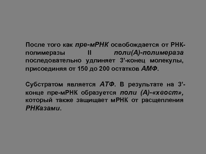 После того как пре-м. РНК освобождается от РНКполимеразы II поли(А)-полимераза последовательно удлиняет 3’-конец молекулы,