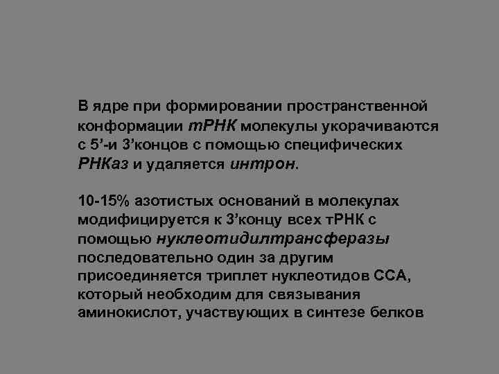 В ядре при формировании пространственной конформации т. РНК молекулы укорачиваются с 5’-и 3’концов с