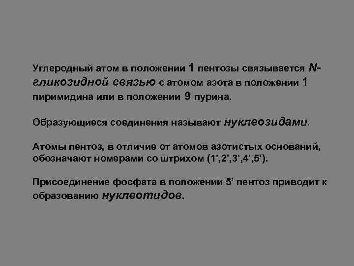 Углеродный атом в положении 1 пентозы связывается Nгликозидной связью с атомом азота в положении