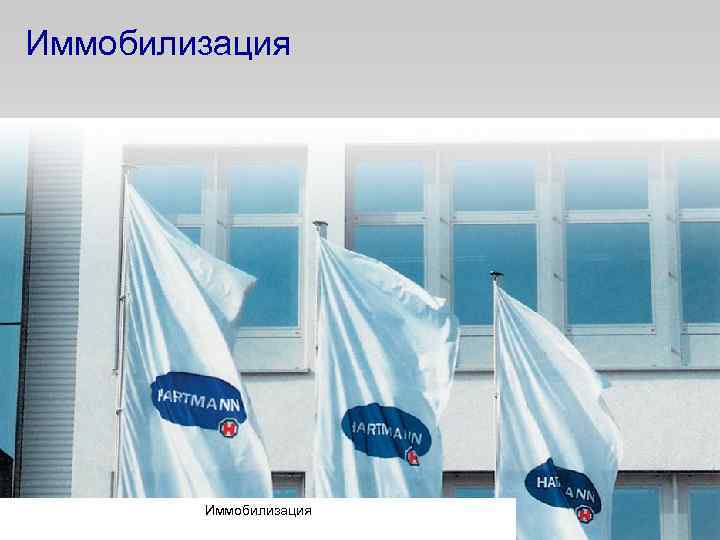 Иммобилизация 