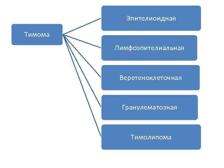 Эпителиоидная Тимома Лимфоэпителиальная Веретеноклеточная Гранулематозная Тимолипома 