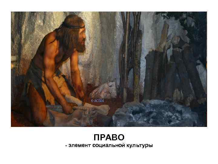 ПРАВО - элемент социальной культуры 