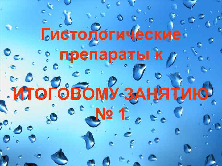 Гистологические препараты к ИТОГОВОМУ ЗАНЯТИЮ № 1 