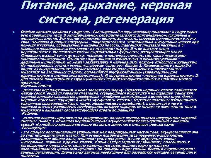 Питание, дыхание, нервная система, регенерация ► ► Особых органов дыхания у гидры нет. Растворенный