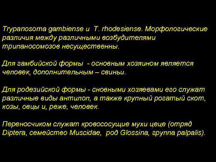 Trypanosoma gambiense и T. rhodesiense. Морфологические различия между различными возбудителями трипаносомозов несущественны. Для гамбийской