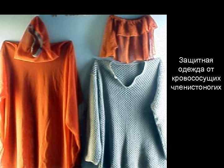 Защитная одежда от кровососущих членистоногих 