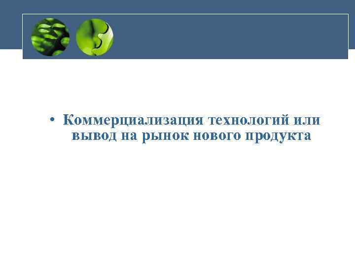  • Коммерциализация технологий или вывод на рынок нового продукта 