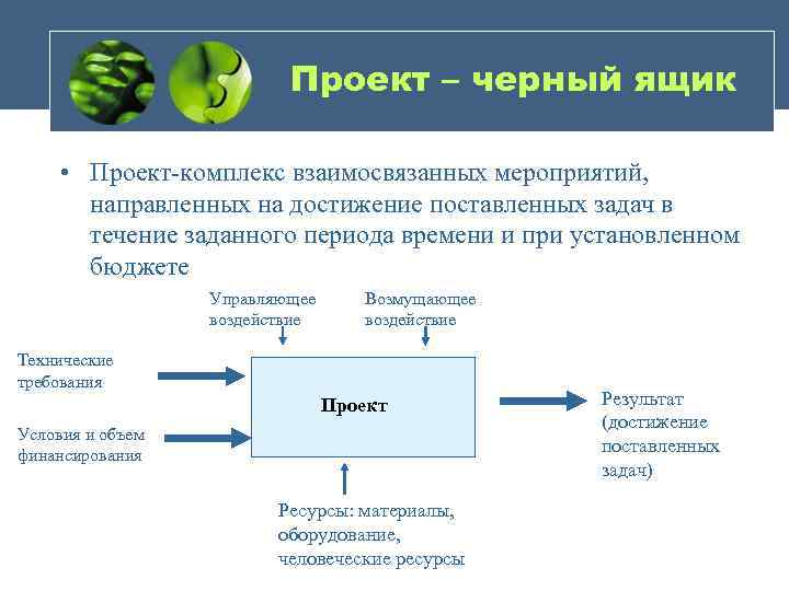 Проект – черный ящик • Проект-комплекс взаимосвязанных мероприятий, направленных на достижение поставленных задач в