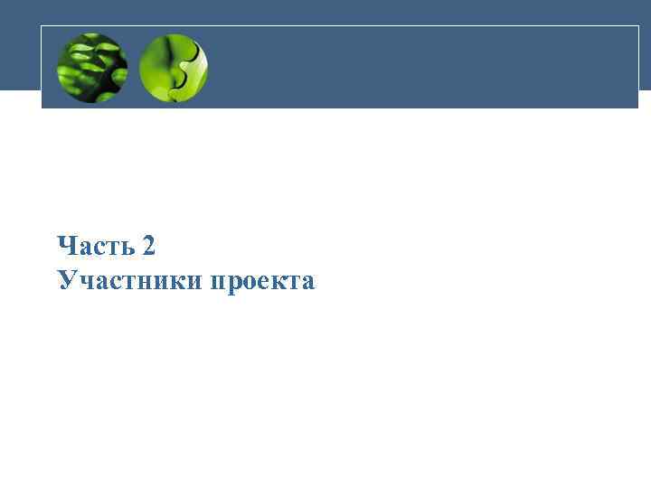 Часть 2 Участники проекта 