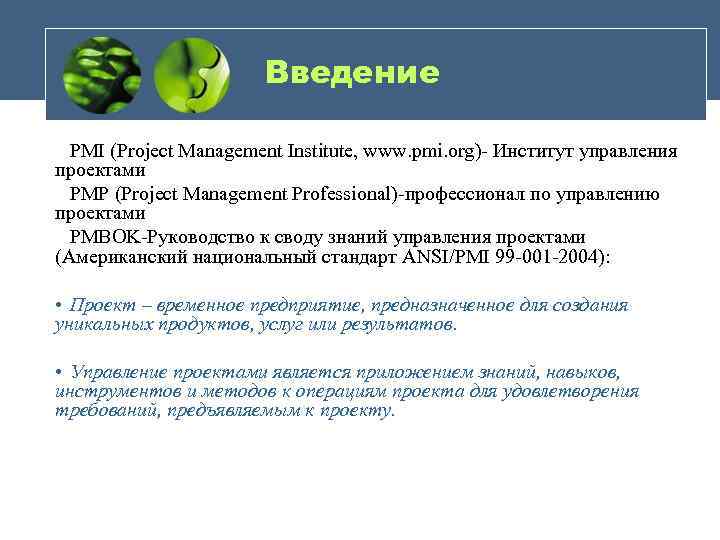 Введение PMI (Project Management Institute, www. pmi. org)- Институт управления проектами PMP (Project Management