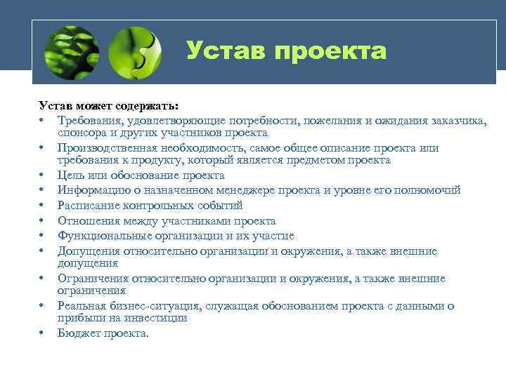 Устав проекта должен содержать сведения о детальном порядке выполнения работ проекта