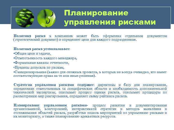 Планирование управления рисками Политика риска в компаниях может быть оформлена отдельным (стратегический документ) и