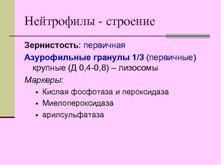 Нейтрофилы - строение Зернистость: первичная Азурофильные гранулы 1/3 (первичные) крупные (Д 0, 4 -0,