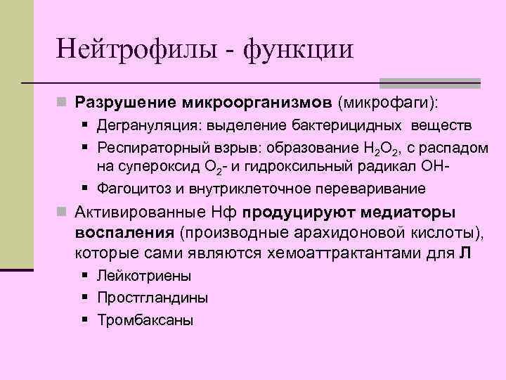 Нейтрофилы - функции n Разрушение микроорганизмов (микрофаги): § Дегрануляция: выделение бактерицидных веществ § Респираторный