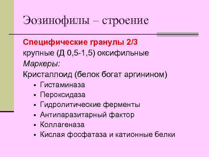 Эозинофилы – строение Специфические гранулы 2/3 крупные (Д 0, 5 -1, 5) оксифильные Маркеры: