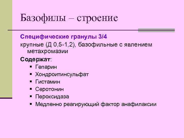 Базофилы – строение Специфические гранулы 3/4 крупные (Д 0, 5 -1, 2), базофильные с
