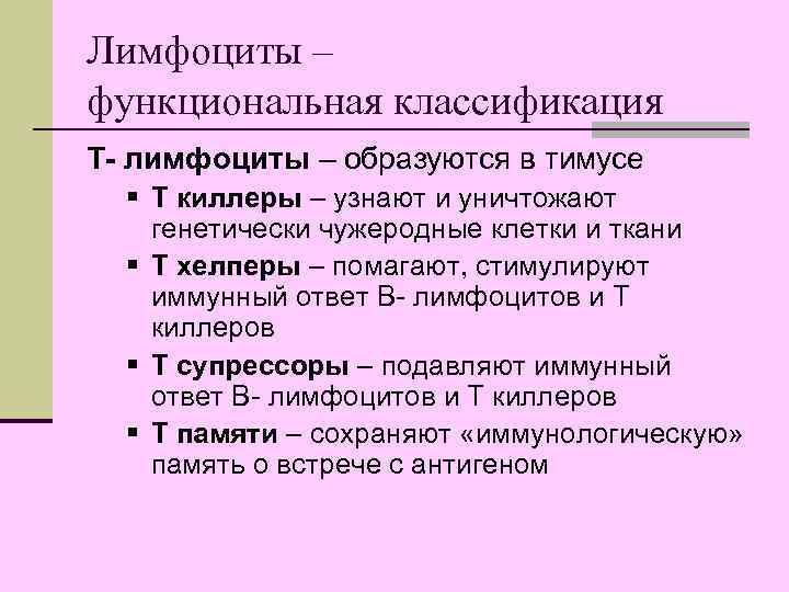 Лимфоциты – функциональная классификация Т- лимфоциты – образуются в тимусе § Т киллеры –