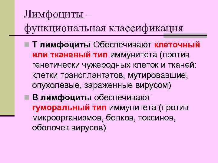 Лимфоциты – функциональная классификация n Т лимфоциты Обеспечивают клеточный или тканевый тип иммунитета (против
