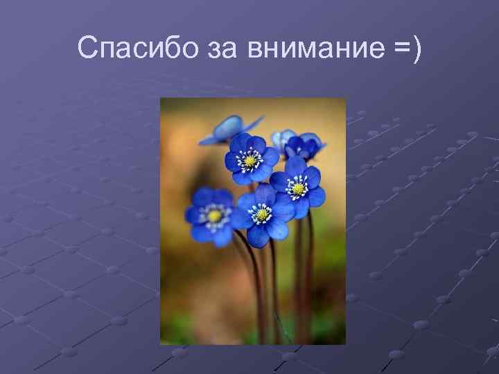 Спасибо за внимание =) 