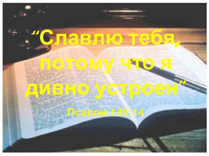 “Славлю тебя, потому что я дивно устроен” Псалом 139: 14 