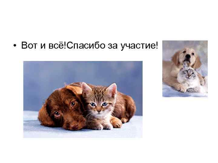  • Вот и всё!Спасибо за участие! 