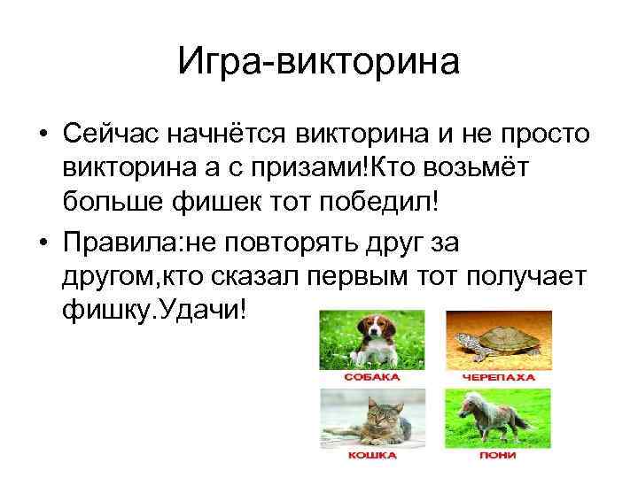 Игра-викторина • Сейчас начнётся викторина и не просто викторина а с призами!Кто возьмёт больше