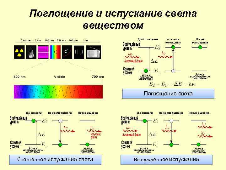 Поглощенное излучение. Поглощение и излучение света атомом. Испускание и поглощение света атомами. Механизм испускания света атомами. Испускание и поглощение света атомами физика.