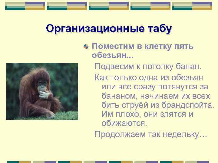 Организационные табу Поместим в клетку пять обезьян. . . Подвесим к потолку банан. Как