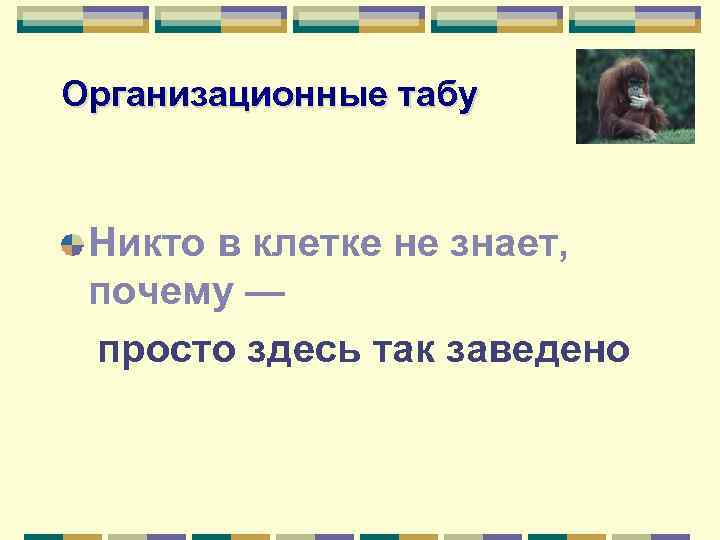 Организационные табу Никто в клетке не знает, почему — просто здесь так заведено 