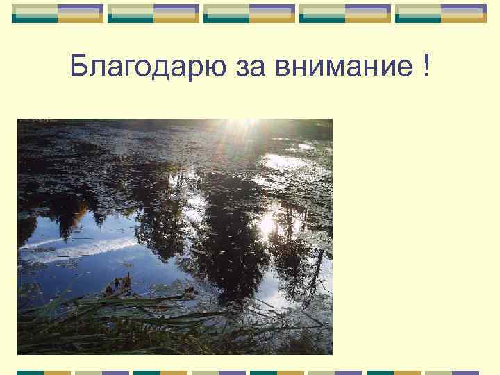 Благодарю за внимание ! 