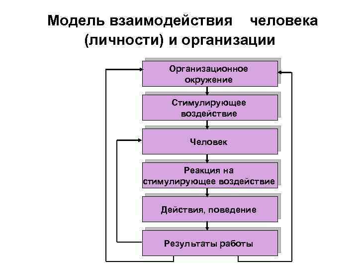 Модель взаимодействия человека (личности) и организации Организационное окружение Стимулирующее воздействие Человек Реакция на стимулирующее