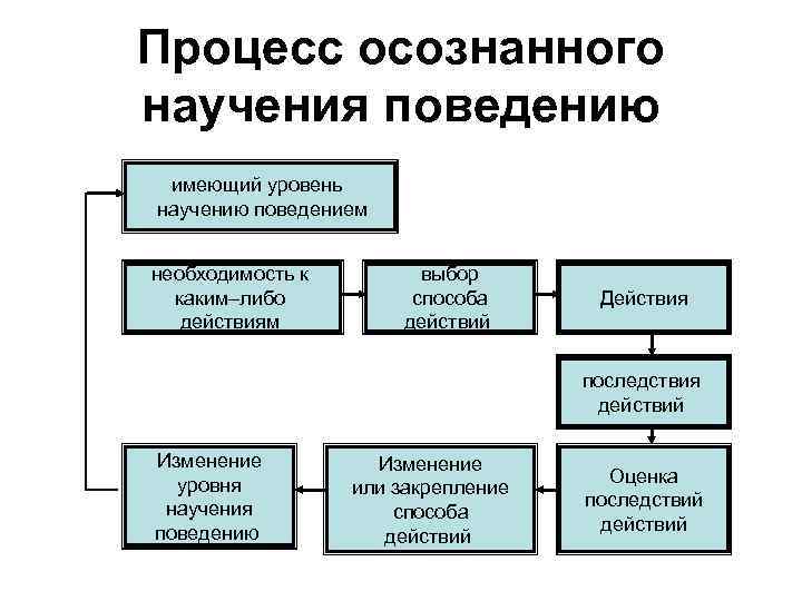 Процесс осознанного научения поведению имеющий уровень научению поведением необходимость к каким–либо действиям выбор способа