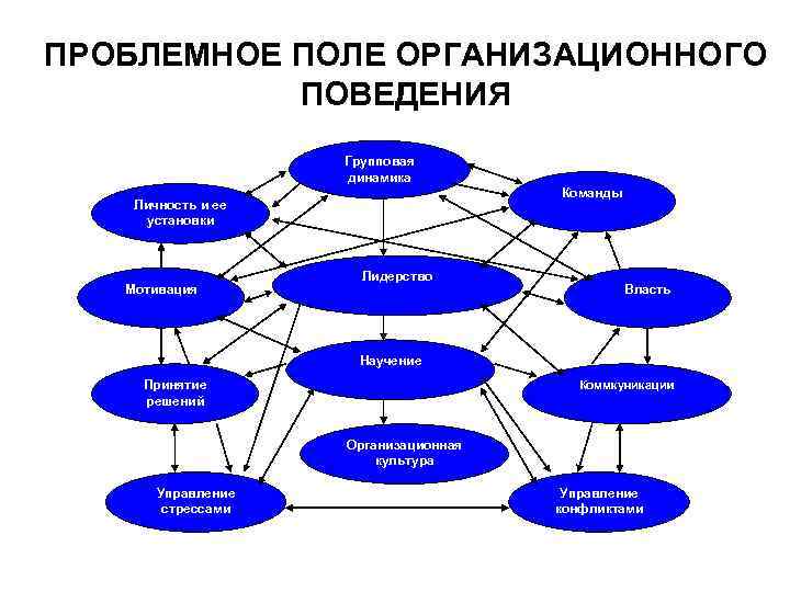 ПРОБЛЕМНОЕ ПОЛЕ ОРГАНИЗАЦИОННОГО ПОВЕДЕНИЯ Групповая динамика Команды Личность и ее установки Мотивация Лидерство Власть