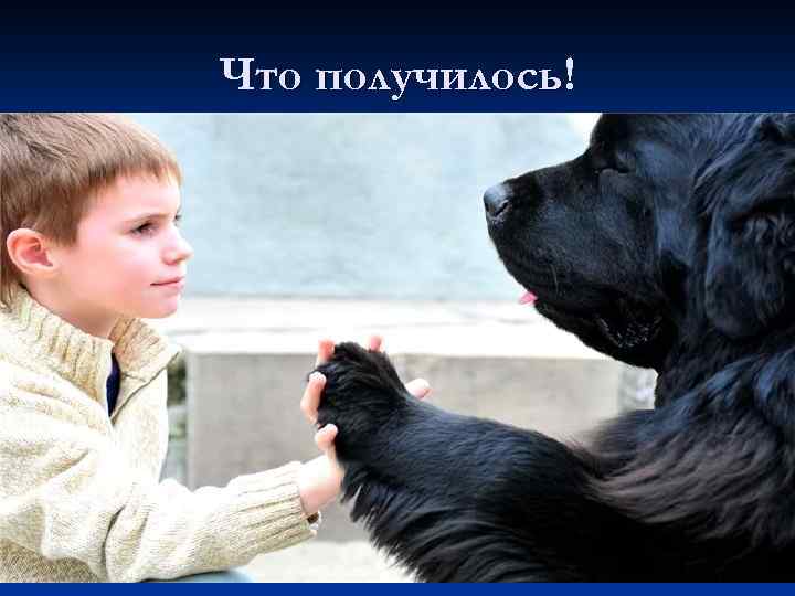 Что получилось! 