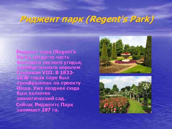 Риджент парк (Regent's Park), когда-то часть большого лесного угодья, приобретенного королем Генрихом VIII. В