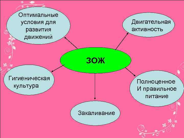 Оптимальные условия для развития движений Двигательная активность ЗОЖ Гигиеническая культура Полноценное И правильное питание