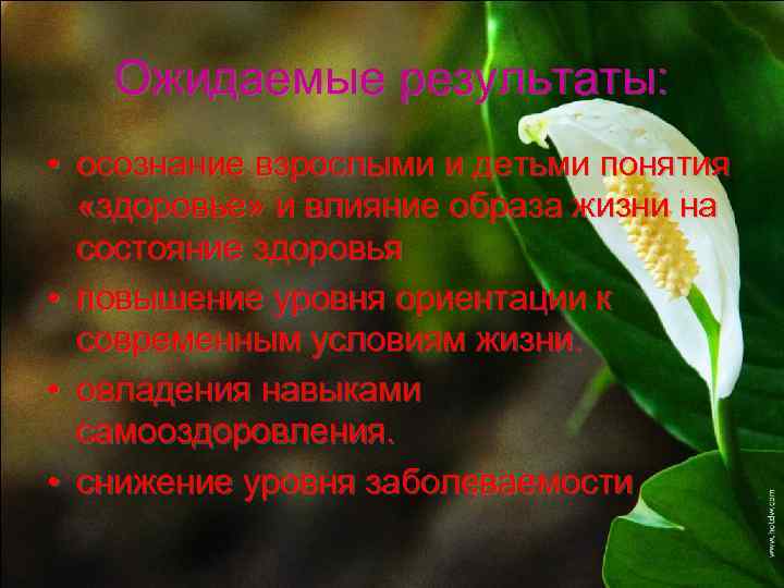 Ожидаемые результаты: • осознание взрослыми и детьми понятия «здоровье» и влияние образа жизни на