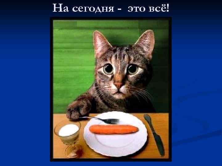 На сегодня - это всё! 