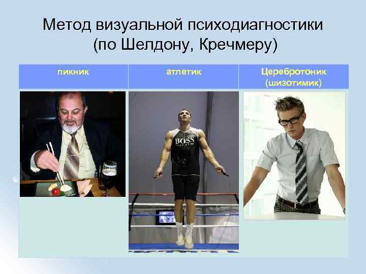 Метод визуальной психодиагностики (по Шелдону, Кречмеру) пикник атлетик Церебротоник (шизотимик) 