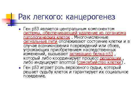 Рак легкого: канцерогенез n n Ген р53 является центральным компонентом системы, обеспечивающей удаление из