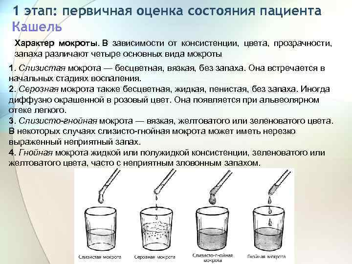 1 этап: первичная оценка состояния пациента Кашель Характер мокроты. В зависимости от консистенции, цвета,