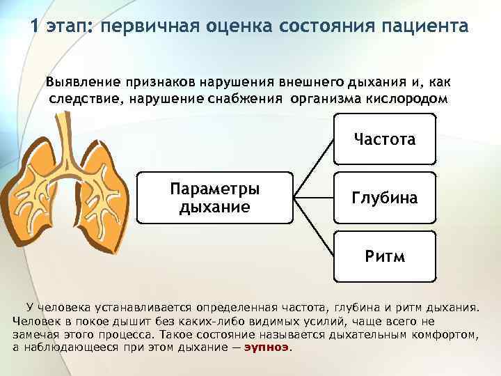 1 этап: первичная оценка состояния пациента Выявление признаков нарушения внешнего дыхания и, как следствие,