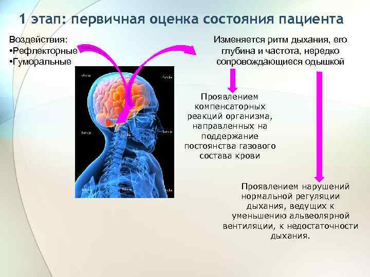 1 этап: первичная оценка состояния пациента Воздействия: • Рефлекторные • Гуморальные Изменяется ритм дыхания,