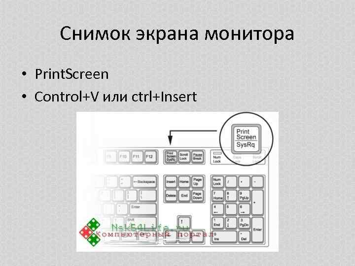Снимок экрана монитора • Print. Screen • Control+V или ctrl+Insert 