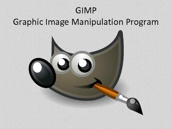 GIMP Graphic Image Manipulation Program 