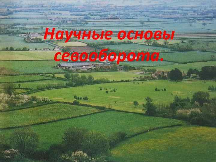 Научные основы севооборота. 