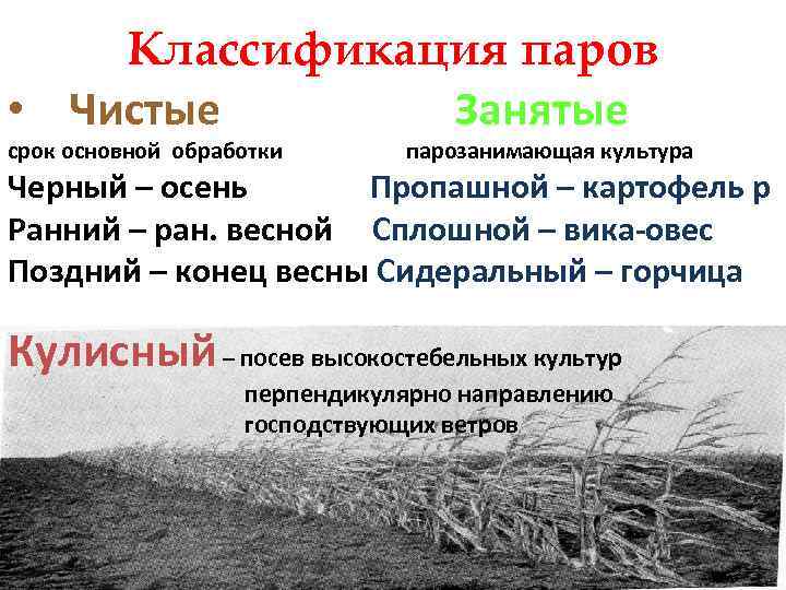 Классификация паров • Чистые Занятые срок основной обработки парозанимающая культура Черный – осень Пропашной