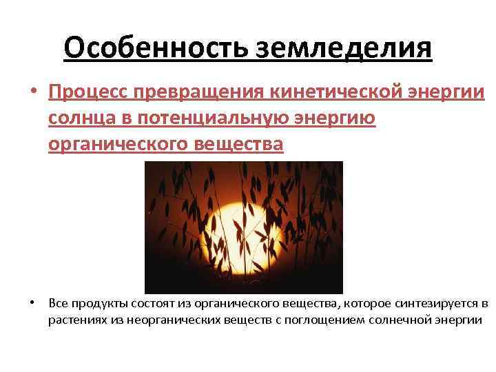 Особенность земледелия • Процесс превращения кинетической энергии солнца в потенциальную энергию органического вещества •