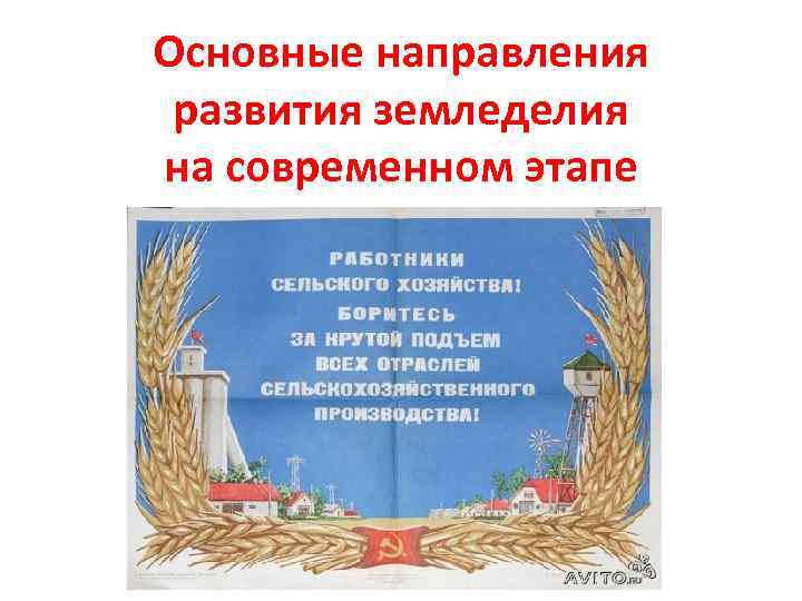 Основные направления развития земледелия на современном этапе 