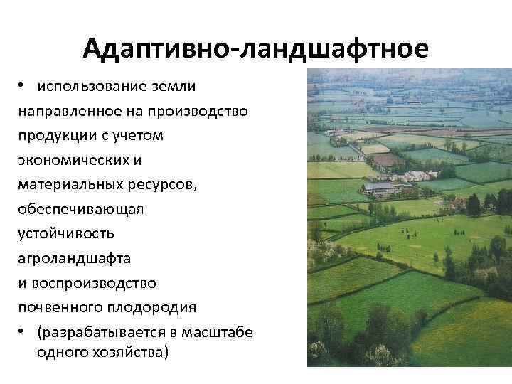 Назовите способ улучшения антропогенного ландшафта который представлен на рисунке 7